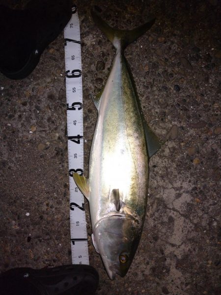 ショアジギング