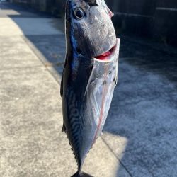 神之浦港でジギング