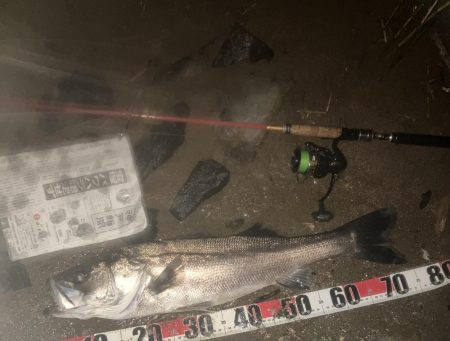 落ち鮎がらみやでー