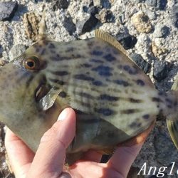 潮が動かず大苦戦