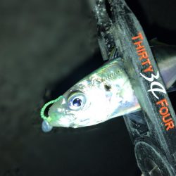 爆風のもとでの短時間釣行