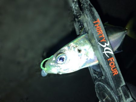 爆風のもとでの短時間釣行