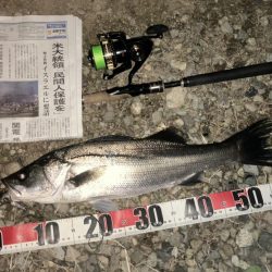 ががっときました。