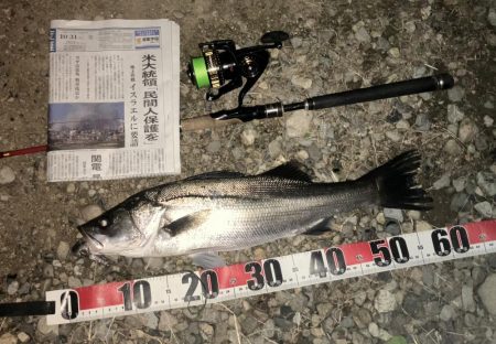 ががっときました。