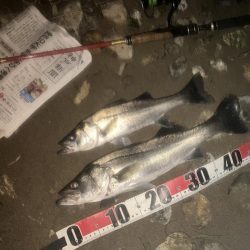 ががっときました。