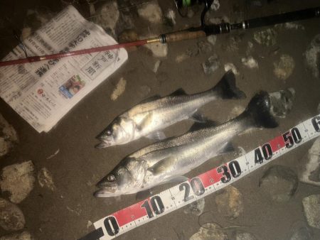 ががっときました。