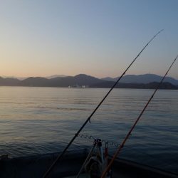 遠投カゴでやっと…