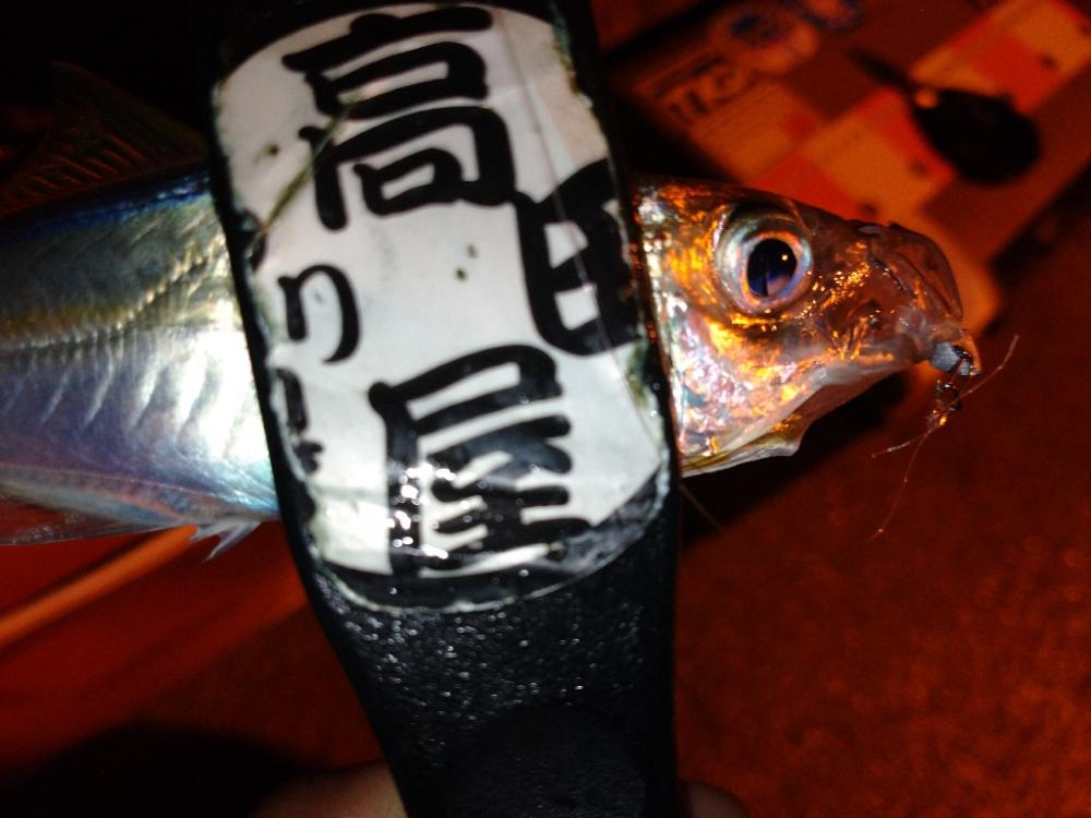 雨上がりアジング