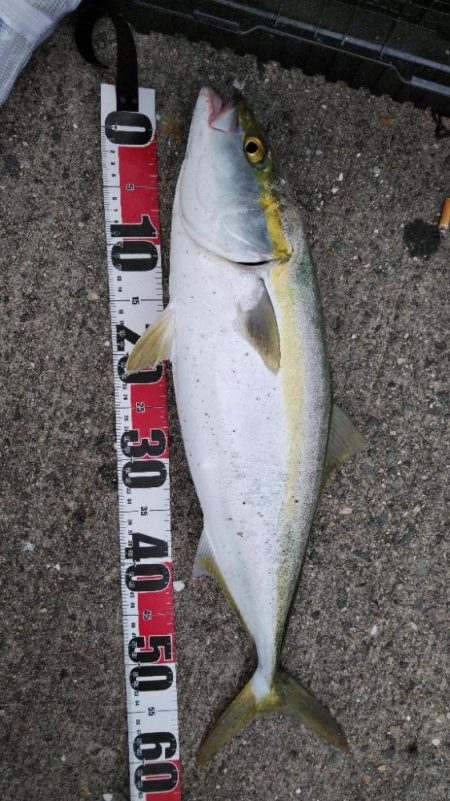 デイゲームはVJ