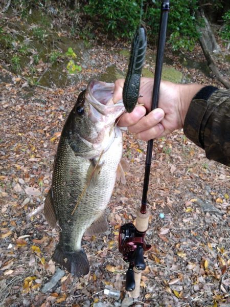 久々の津久井湖バス