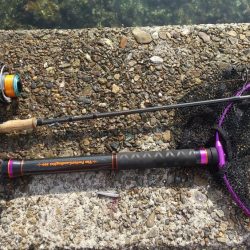 サゴシが釣れてると言うことで!