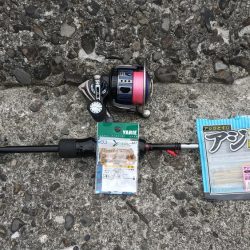 ミカンのついでにアジ釣り