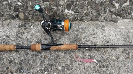 ミカンのついでに太刀魚釣り