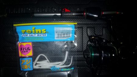 久し振りの仕事終わり釣行