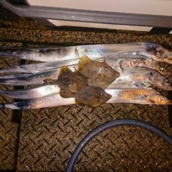 友が島廻りにて