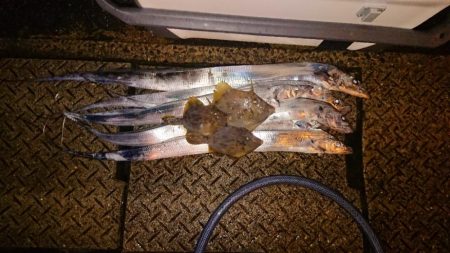 友が島廻りにて