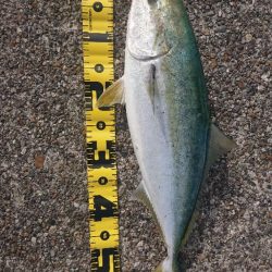 2023第2回播磨詣