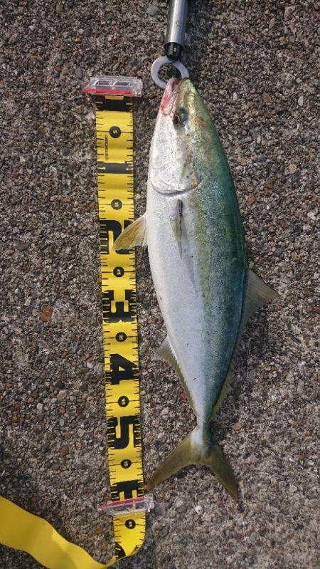 2023第2回播磨詣