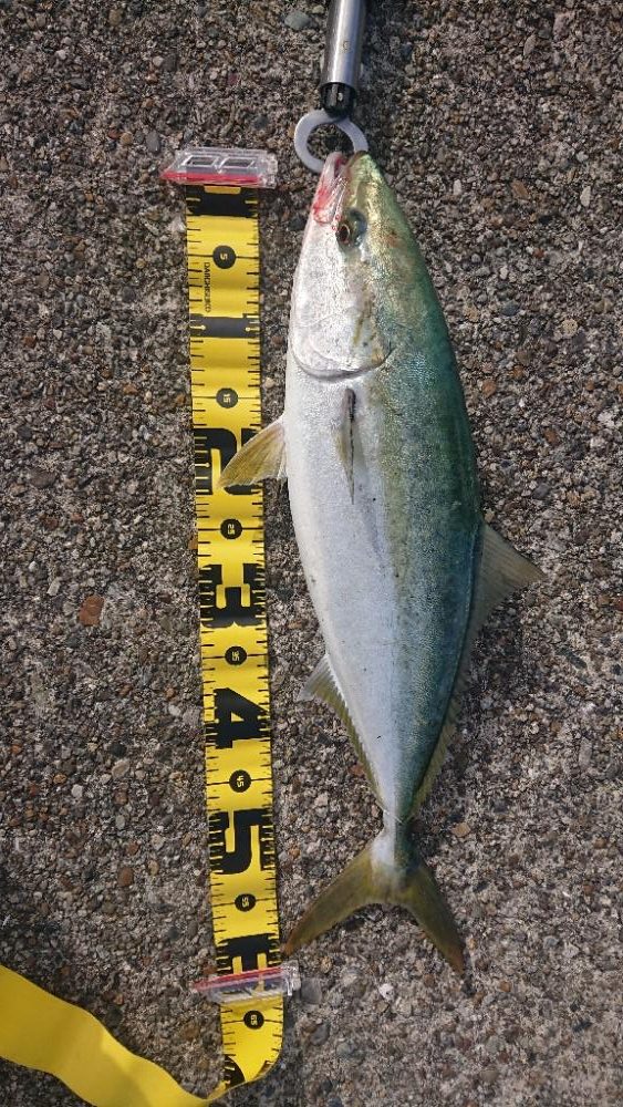 2023第2回播磨詣