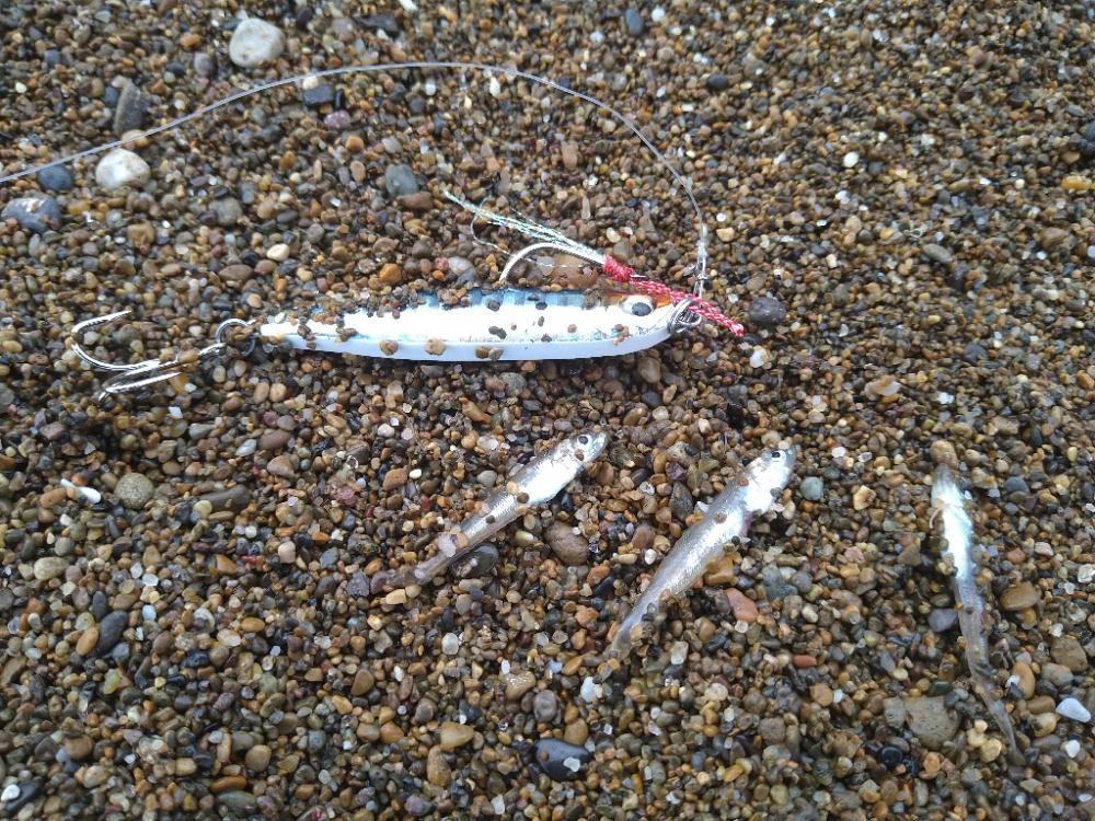 朝活サーフは…