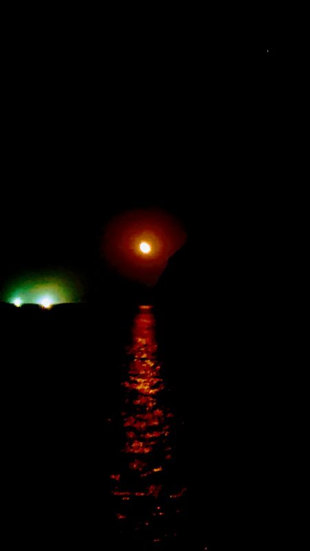 結果オーライ。