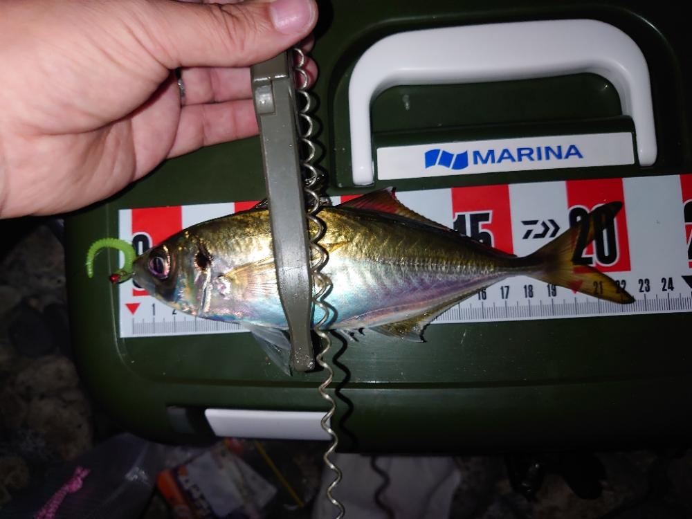 フロートアジング練習🎣