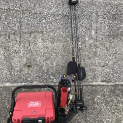 久しぶりのチヌ