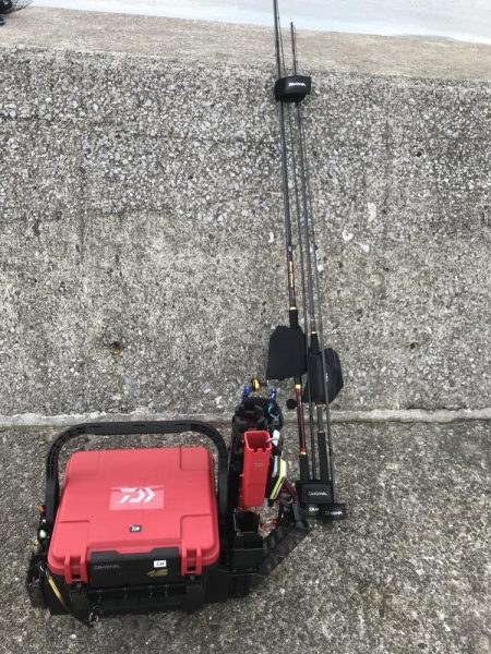 久しぶりのチヌ