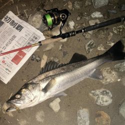 ががっときました。