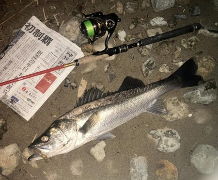 ががっときました。