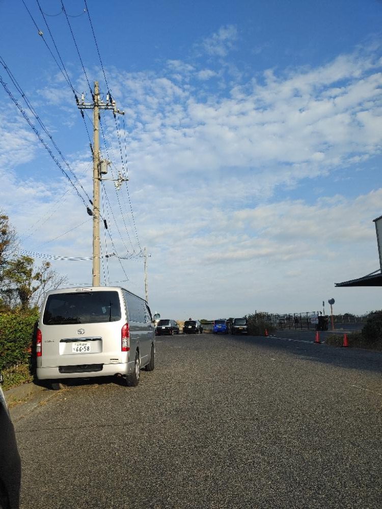 今シーズン坊主無し