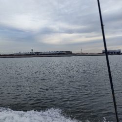 カワハギ釣り えさ政より