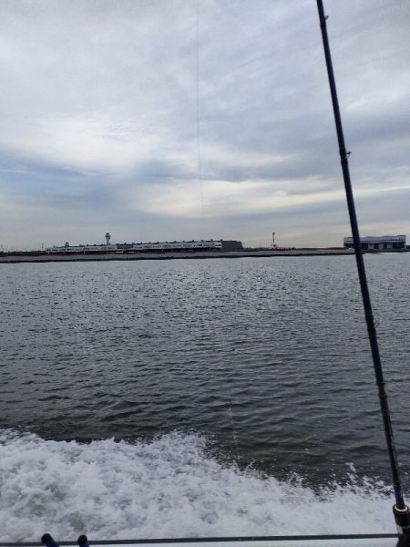 カワハギ釣り えさ政より