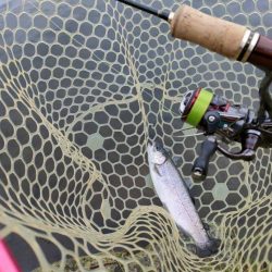 久しぶりの管理釣り場はなかなか楽しめました！