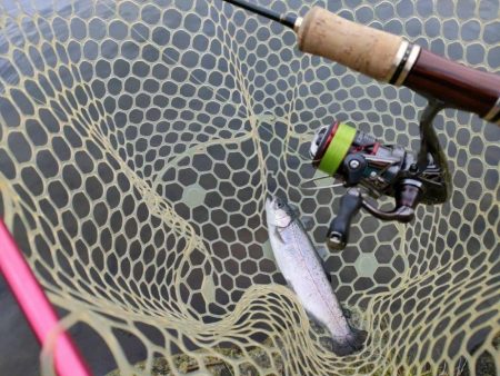 久しぶりの管理釣り場はなかなか楽しめました…