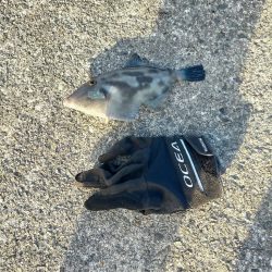 爆風に泣かされた1日！