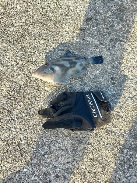 爆風に泣かされた1日！