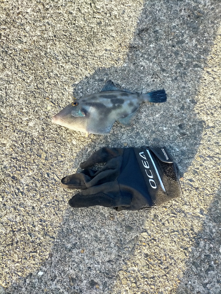 爆風に泣かされた1日！