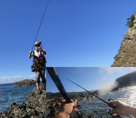 エギング大会でアオリイカ