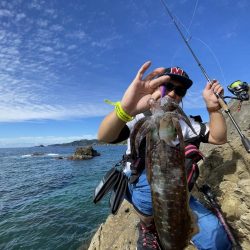 エギング大会&キャンプイベントCHILLAXCAMPでアオリイカ