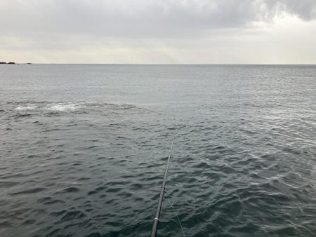 たかたかの釣り日記