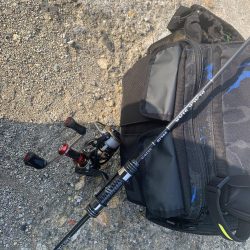 アジフライ不発