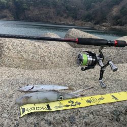 アジフライ不発