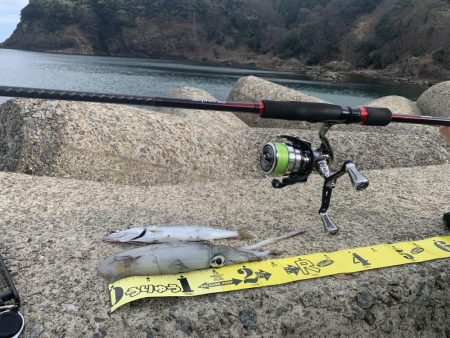 アジフライ不発