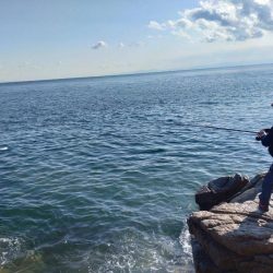 グレ自己最高31センチ