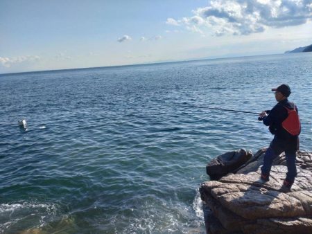 グレ自己最高31センチ