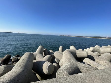 ヒラメと青物狙い