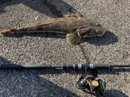 アジングからのショアジギ