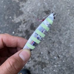 ショアジギング　サワラ