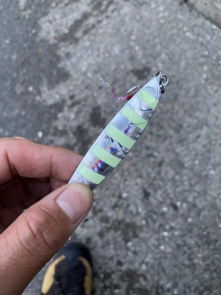 ショアジギング　サワラ